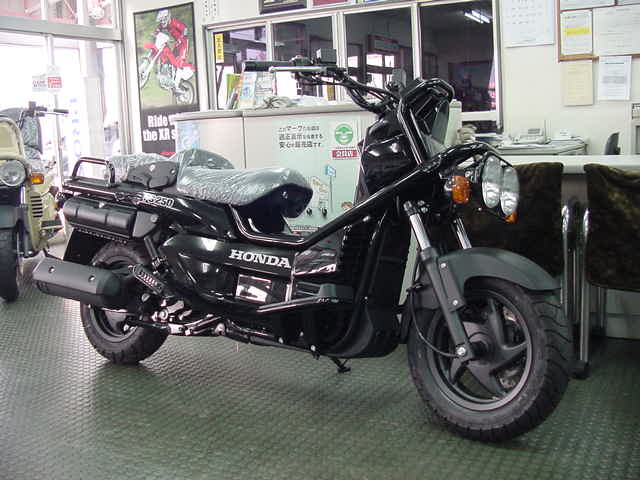 PS250